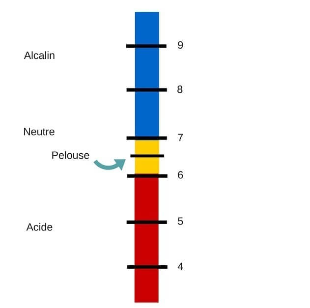 gazon sur terrain au ph neutre