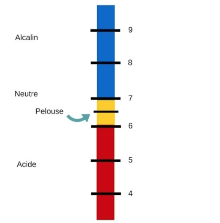 Type de terrain acide neutre alcalin