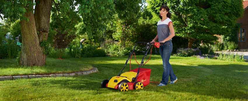 Scarificateur Wolf Garten en action sur pelouse