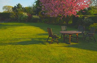 gazon vert salon de jardin