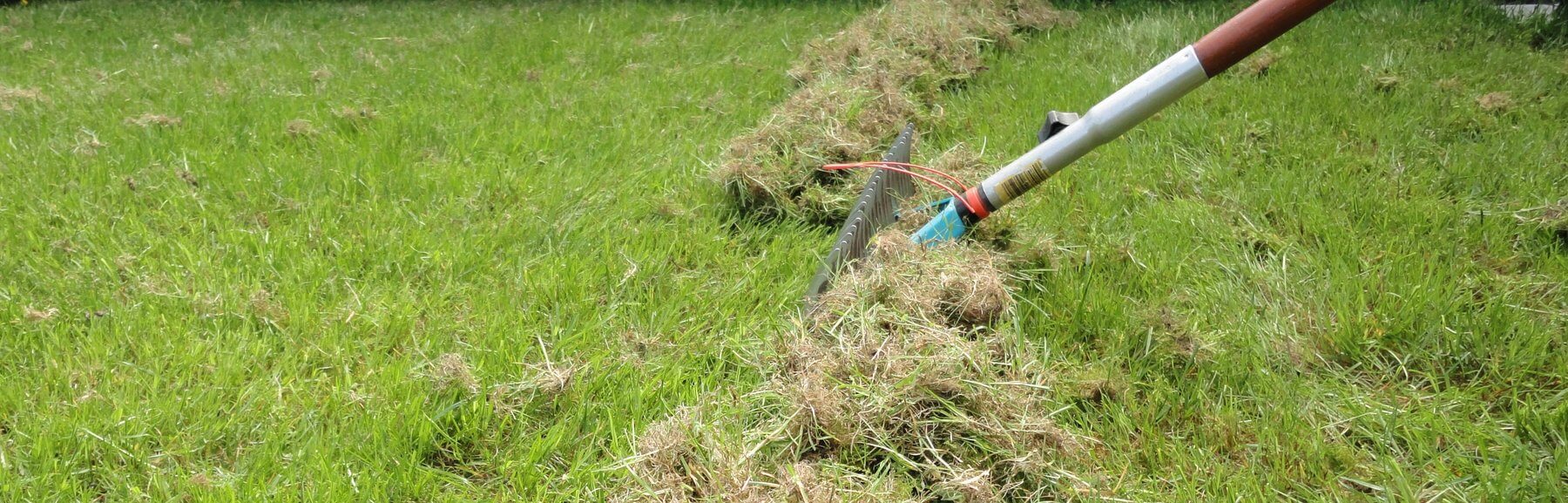 scarificateur à main en action