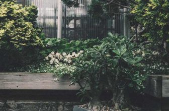 jardin vert
