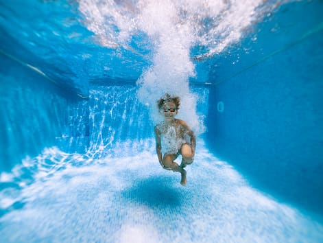 piscine traitement algue moutarde