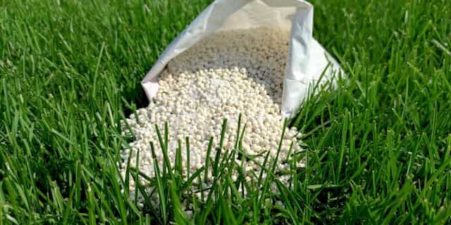 engrais bio gazon pas cher
