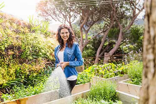 tuyau d'arrosage pour jardin potager gazon